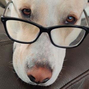 Meet your Posher, Mark